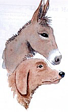 "Esel und Hund" (Aquarell)